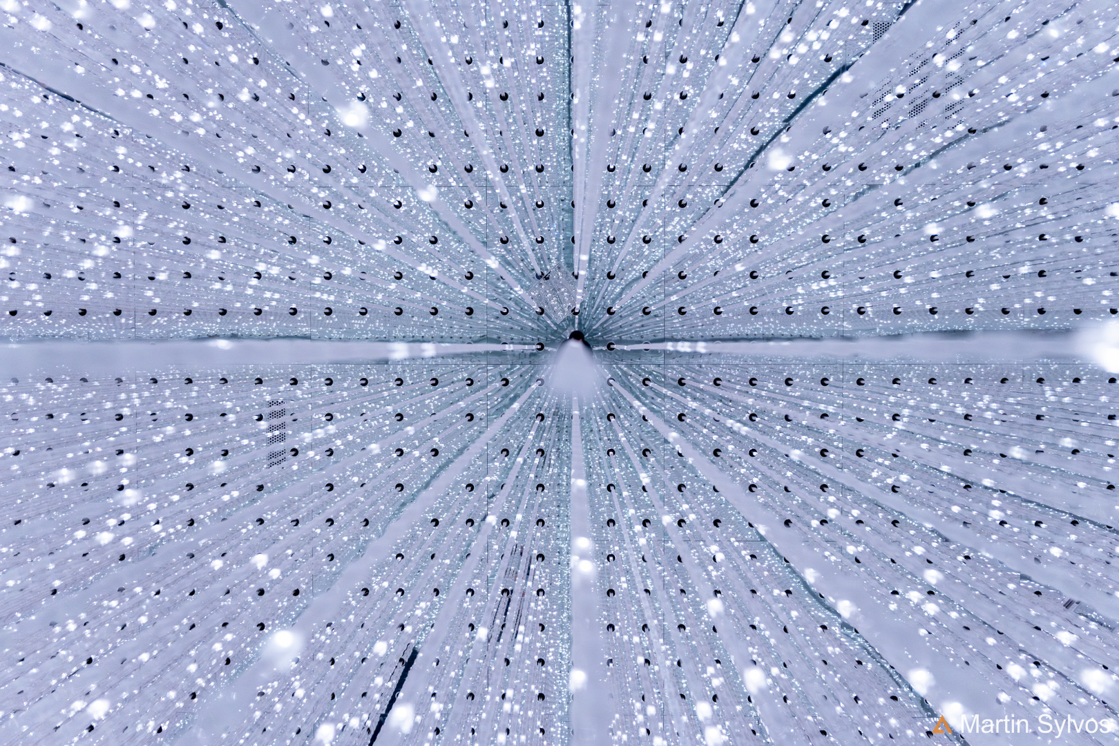 2025 Japon martin sylvos 50